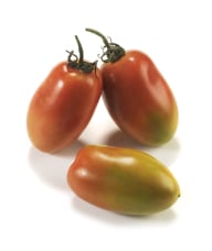 Pomodoro datterino